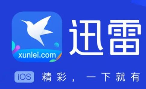 迅雷app怎么用链接下载文件 迅雷app用链接下载文件方法